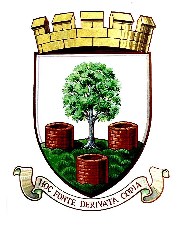 Wells City Logo
